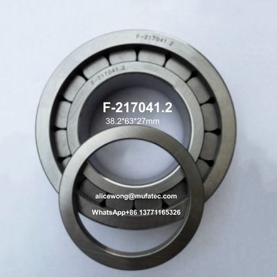 F-217041 Cylindrische rollen Hydraulische pomplagers / Hydraulische pomponderdelen met FedEx verzending